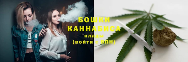 дживик Абаза