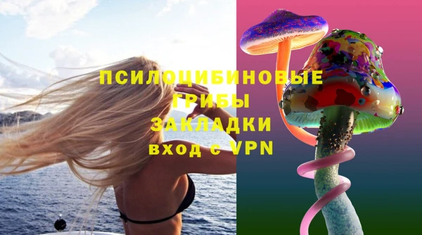 стафф Абинск